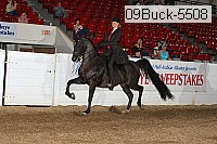 09buck-5508 proof