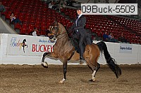 09buck-5509 proof