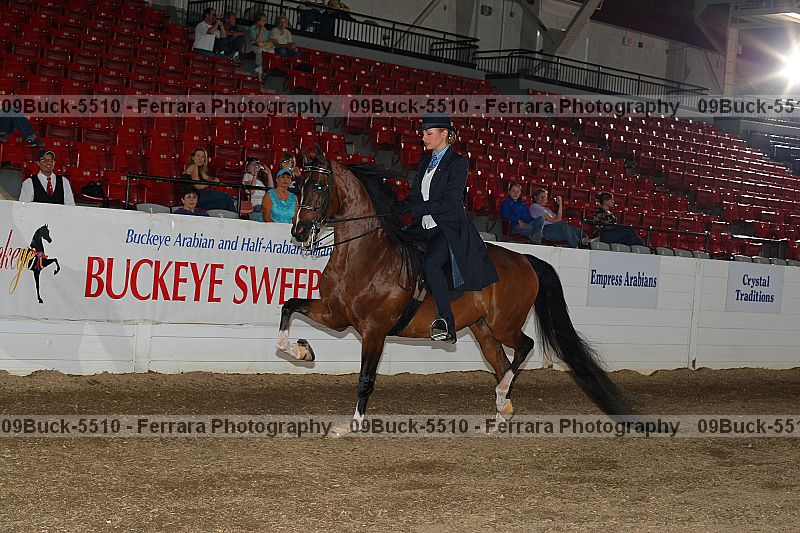 Proof 09buck-5510