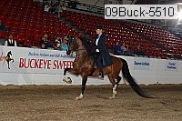 09buck-5510 proof