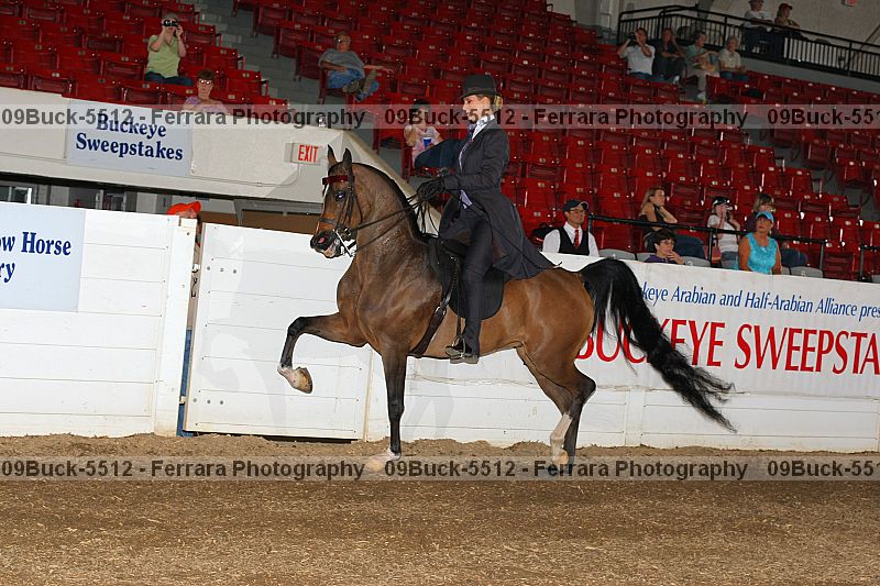Proof 09buck-5512