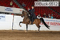 09buck-5512 proof