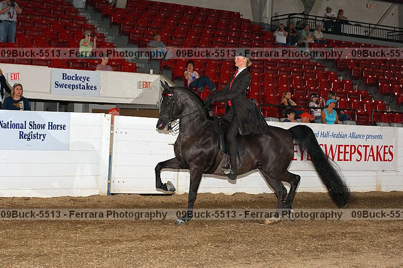 Proof 09buck-5513