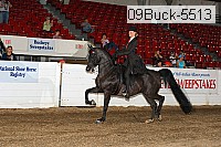 09buck-5513 proof