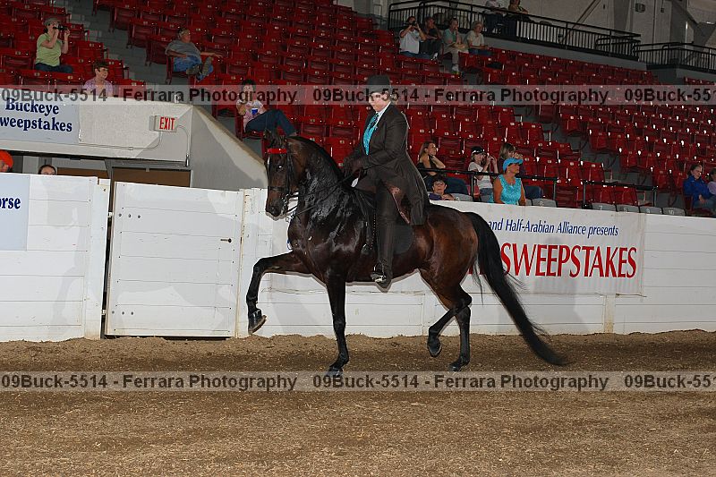 Proof 09buck-5514