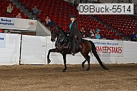 09buck-5514 proof