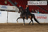 09buck-5515 proof