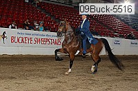 09buck-5516 proof