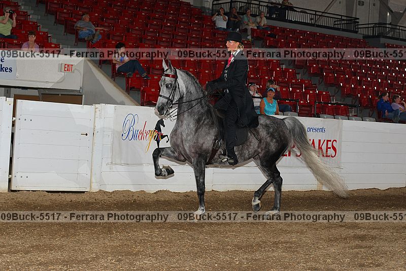 Proof 09buck-5517