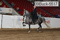 09buck-5517 proof
