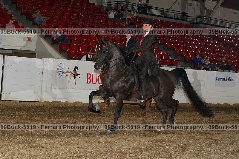 Proof 09buck-5519