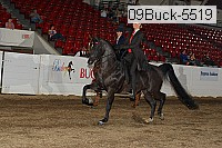09buck-5519 proof