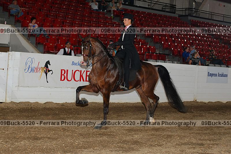 Proof 09buck-5520