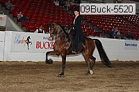 09buck-5520 proof