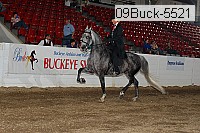 09buck-5521 proof