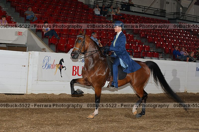 Proof 09buck-5522