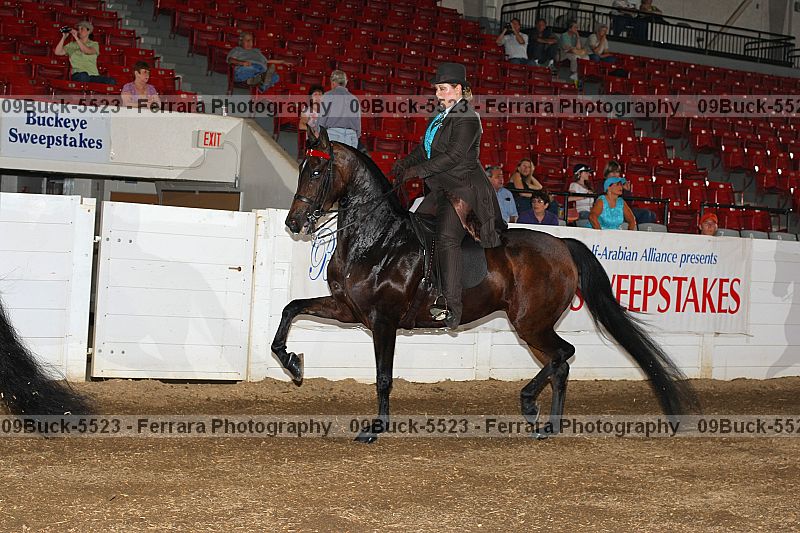 Proof 09buck-5523