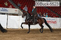 09buck-5523 proof