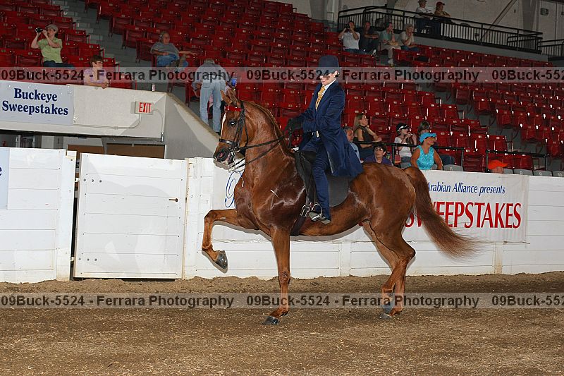 Proof 09buck-5524