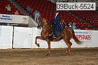 09buck-5524 proof