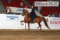 09buck-5525 proof