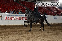 09buck-5526 proof