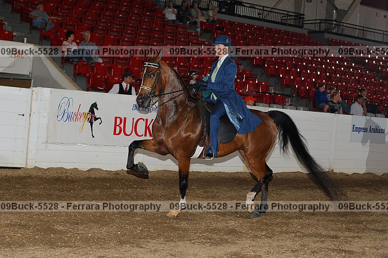 Proof 09buck-5528