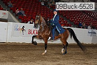 09buck-5528 proof