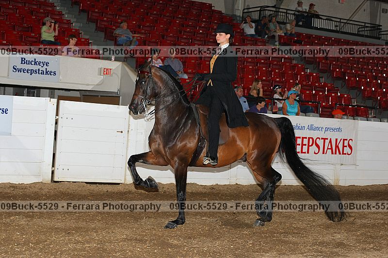 Proof 09buck-5529