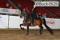 09buck-5529 proof