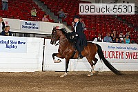 09buck-5530 proof