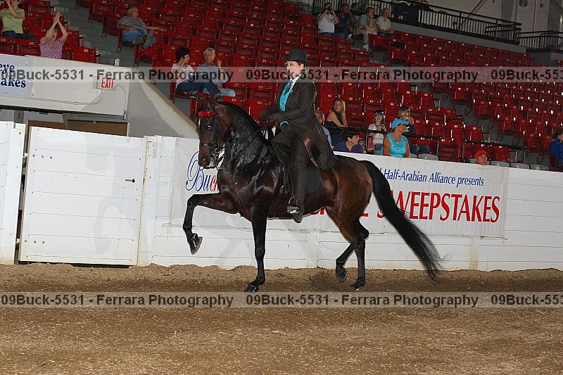 Proof 09buck-5531