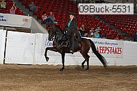 09buck-5531 proof