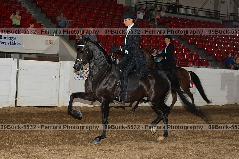 Proof 09buck-5532