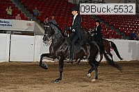 09buck-5532 proof