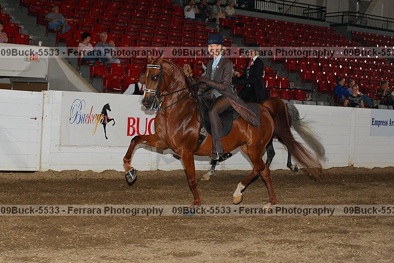Proof 09buck-5533