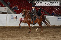 09buck-5533 proof