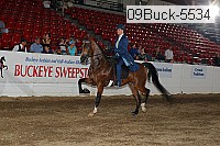 09buck-5534 proof