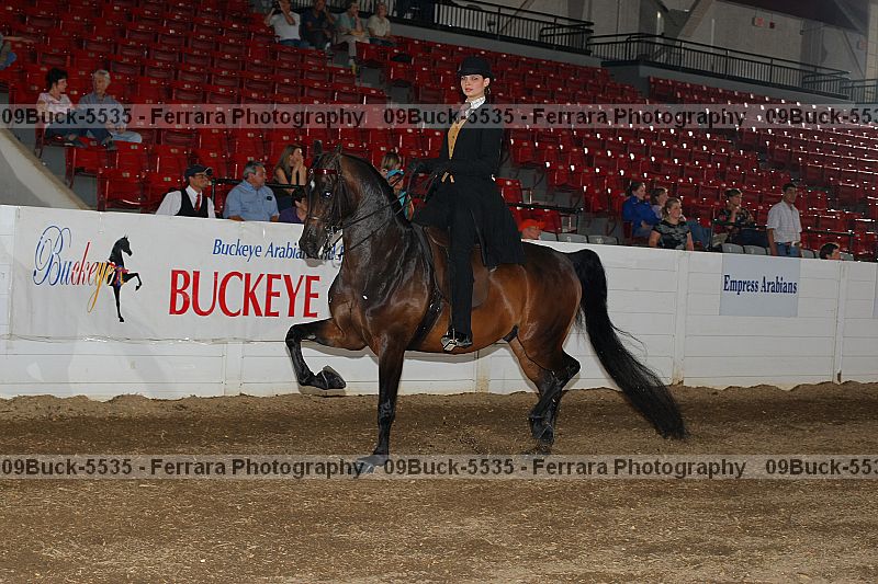Proof 09buck-5535