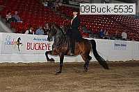 09buck-5535 proof