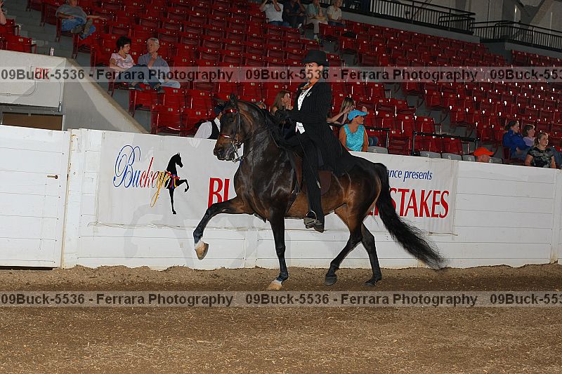 Proof 09buck-5536