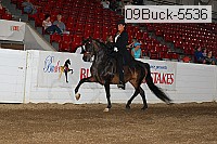 09buck-5536 proof