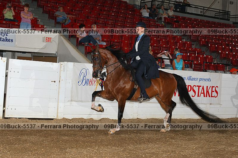 Proof 09buck-5537