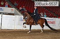 09buck-5537 proof
