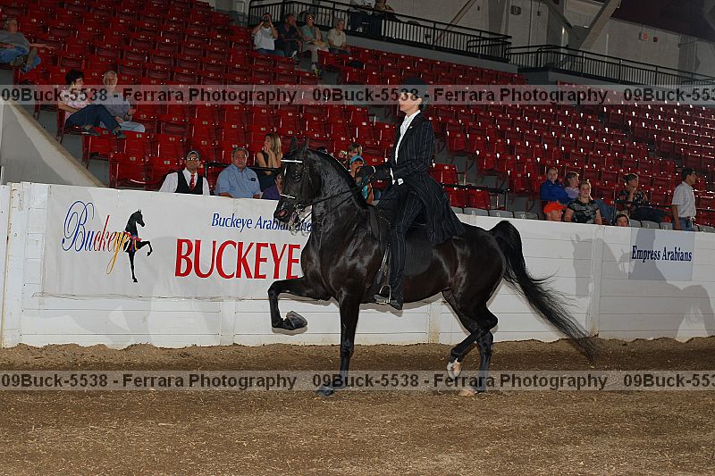 Proof 09buck-5538