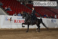 09buck-5538 proof