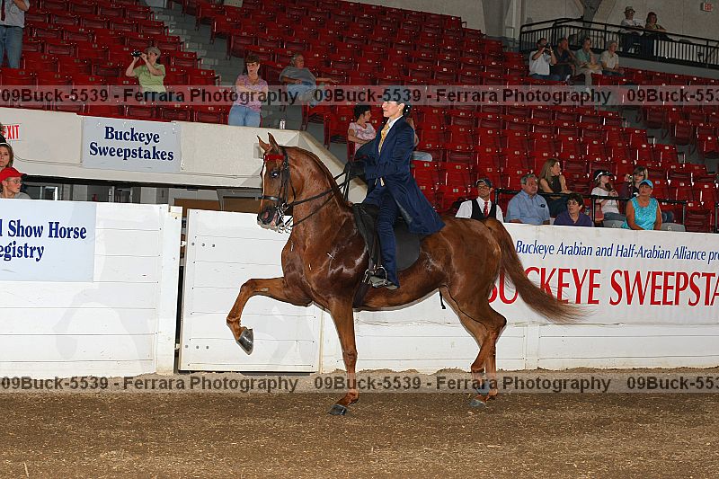 Proof 09buck-5539