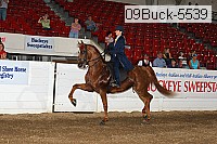 09buck-5539 proof