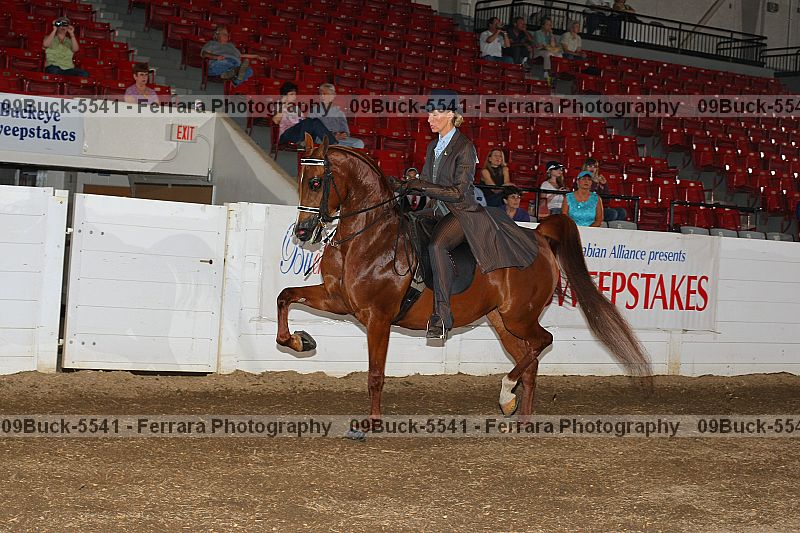 Proof 09buck-5541