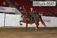 09buck-5541 proof